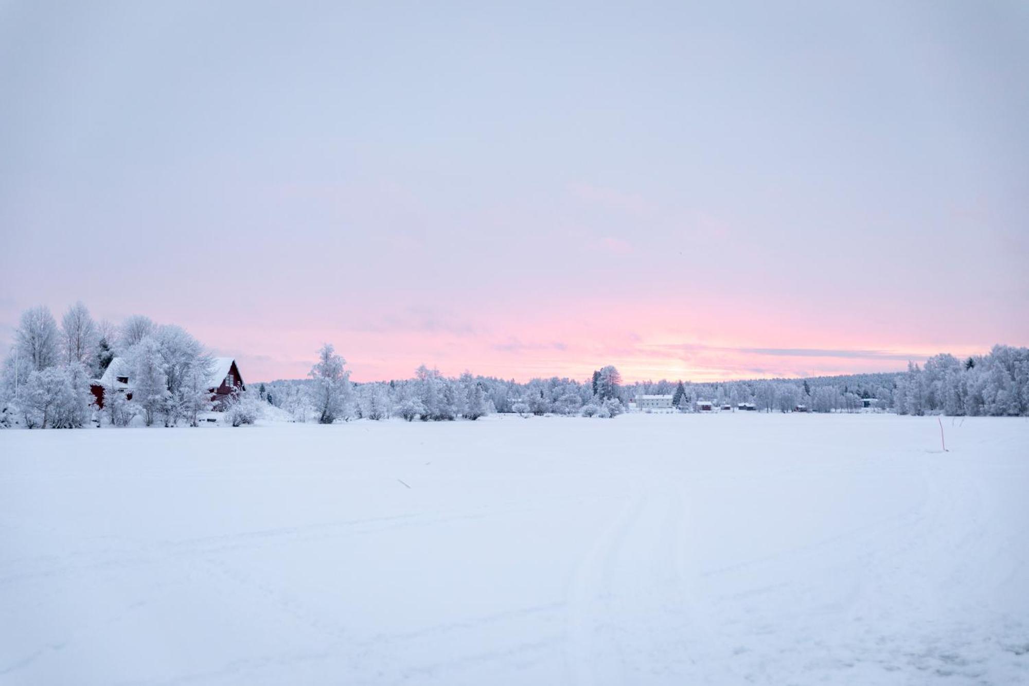Arctic Aurora With Sauna Villa *