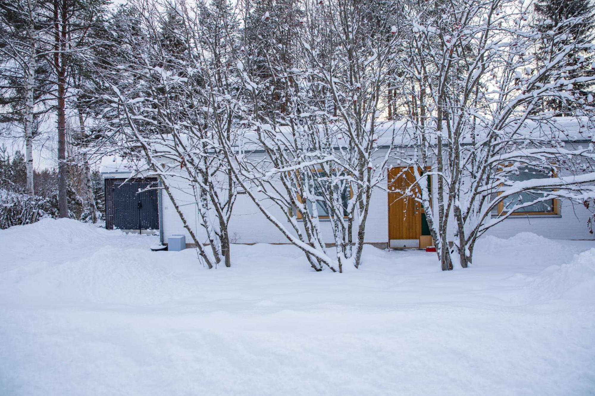 Arctic Aurora With Sauna Villa